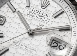 Rolex Land-Dweller 36 127234 (2026) - White dial 36 mm Steel case