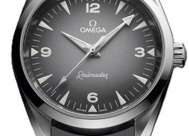 Omega Seamaster Railmaster 235.12.38.20.06.001 (2025) - Grey dial 38 mm Steel case