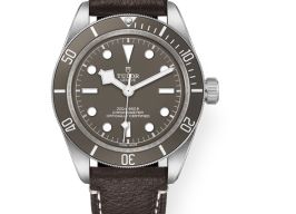 Tudor Black Bay Fifty-Eight 79010SG (2026) - Grey dial 39 mm Silver case
