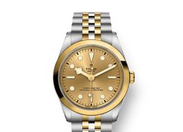 Tudor Black Bay S&G 79643 -