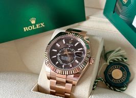 Rolex Sky-Dweller 326935 (2022) - Brown dial 42 mm Rose Gold case