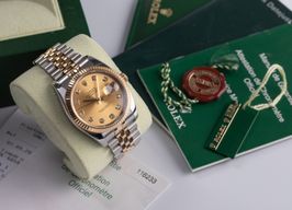Rolex Datejust 36 116233 -