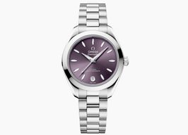 Omega Seamaster Aqua Terra 220.10.30.20.10.002 -