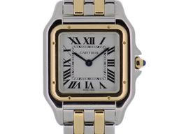 Cartier Panthère W2PN0016 (2026) - 42mm Goud/Staal