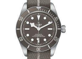 Tudor Black Bay Fifty-Eight 79010SG -
