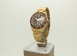 Tudor Black Bay Bronze 79012M (2025) - Brown dial 39 mm Bronze case