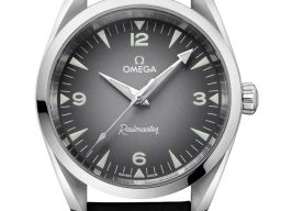 Omega Seamaster Railmaster 235.12.38.20.06.001 (2026) - Grijs wijzerplaat 38mm Staal