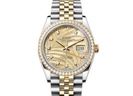 Rolex Datejust 36 126283RBR-0029 (2023) - Gold dial 36 mm Steel case