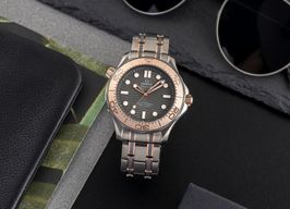 Omega Seamaster Diver 300 M 210.60.42.20.99.001 (Unknown (random serial)) - Grey dial 42 mm Titanium case
