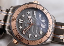 Omega Seamaster Diver 300 M 210.60.42.20.99.001 (2020) - Grey dial 42 mm Titanium case