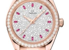 Omega Seamaster Aqua Terra 220.55.34.20.99.007 -