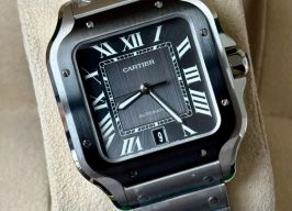 Cartier Santos WSSA0037 -