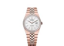 Rolex Land-Dweller 36 127285TBR (2025) - Wit wijzerplaat 36mm Roségoud