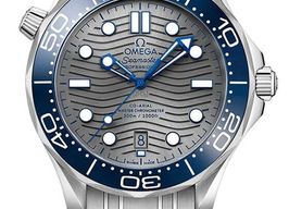 Omega Seamaster Diver 300 M 210.30.42.20.06.001 (2026) - Grijs wijzerplaat 42mm Staal