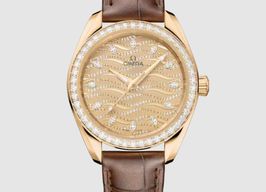 Omega Seamaster Aqua Terra 220.58.34.20.99.008 -