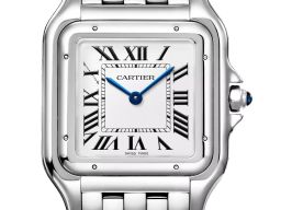 Cartier Panthère WSPN0016 (2025) - Silver dial 31 mm Steel case