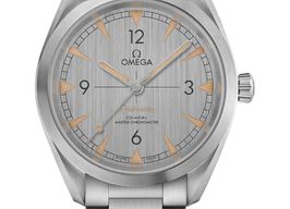 Omega Seamaster Railmaster 220.10.40.20.06.001 (2024) - Grey dial 40 mm Steel case