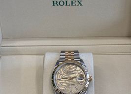 Rolex Datejust 36 126233 CHAMP PALM JUB -