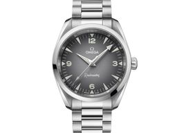Omega Seamaster Railmaster 235.10.38.20.06.001 (2025) - Grijs wijzerplaat 38mm Staal