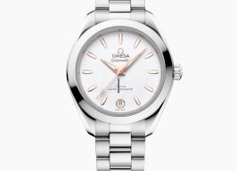 Omega Seamaster Aqua Terra 220.10.30.20.02.001 (2025) - Silver dial 30 mm Steel case