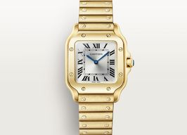 Cartier Santos Dumont WGSA0107 -