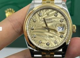 Rolex Datejust 36 126203 (2024) - Unknown dial 36 mm Gold/Steel case
