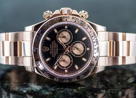 Rolex Daytona 116505 (2015) - Zwart wijzerplaat 40mm Roségoud