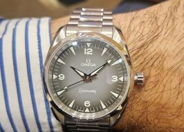 Omega Seamaster Railmaster 235.10.38.20.06.001 -