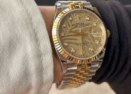 Rolex Datejust 36 126233 (2024) - Unknown dial 36 mm Gold/Steel case